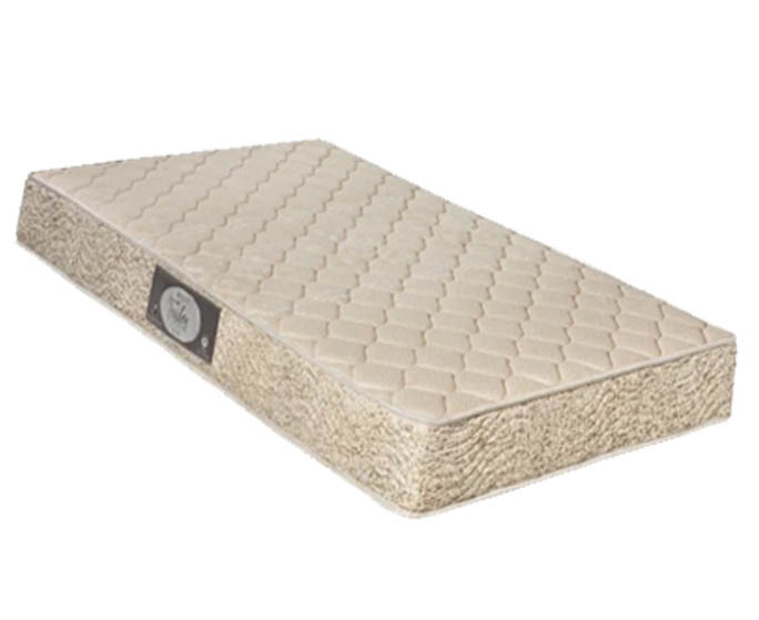 TOULON D33 - Solteira TOULON D33 - Solteira